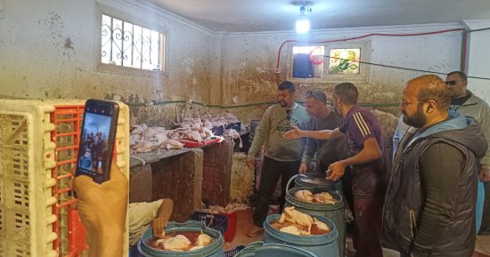 ضبط 75 طن مصنعات لحوم ودواجن فاسدة خلال شهر فى الجيزة