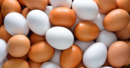 البيض يسجل 100 والألبان تبدأ من 27.. أحدث أسعار السلع الغذائية بسوهاج اليوم