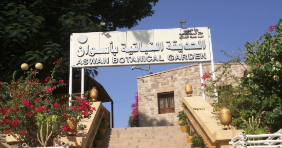 محافظ أسوان يعلن تطوير أكبر حديقة نباتية فى العالم