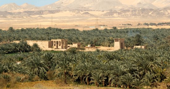 بـ 1500 جنيه بس.. سافر 3 واحات « فول بورد » مع اعرف بلدك.. فيديو