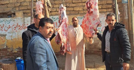 بيطرى المنيا: ضبط 252 كجم لحوم غير صالحة ولحوم مذبوحة خارج المجازر