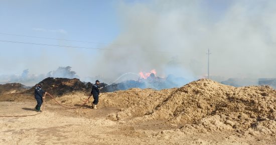 مباشر.. اندلاع حريق فى الكتان بقرية شبرا ملس فى الغربية