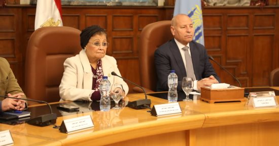 ​محافظ القاهرة: انخفاض معدل الإنجاب بالعاصمة إلى 2.2% وتكاتف الجهود لتحقيق رؤية مصر 2030