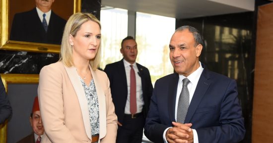 مشاورات سياسية بين مصر وإيرلندا لدعم العلاقات الثنائية