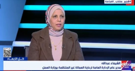 وزارة العمل: طفرة في حماية العمالة غير المنتظمة و6 منح سنوية