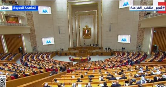 أميرة العادلى تؤدى اليمين الدستورية فى أولى جلسات النواب 2026