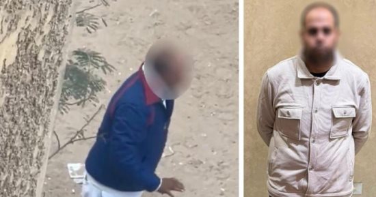 اعتداء على الجيران في الجيزة بسبب إطعام الكلاب الضالة.. الداخلية تكشف التفاصيل