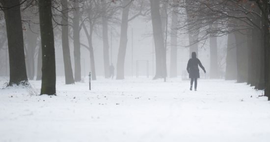 الحياة على الجليد.. العاصفة الثلجية غوريتي تضرب ألمانيا