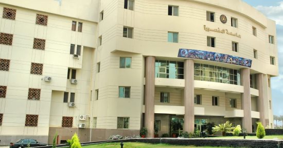 6 مرشحين يتنافسون على رئاسة جامعة المنصورة.. أسماء