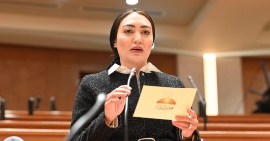 عضو خارجية النواب: الرئيس السيسى طمأن المصريين وأكد قوة مصر فى مواجهة التحديات