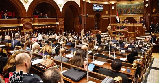 عضو بمجلس الشيوخ: مصر كانت وستظل طرفا رئيسيا فى معادلة الاستقرار الإقليمى