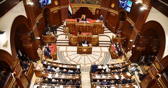 النائب هشام الجاهل يطالب بتشريعات فورية لحماية الأطفال من الفضاء الرقمى