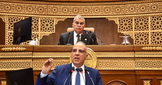وزير الرى: مهمتنا لا تبدأ من أعالى السد العالى.. ولكن مما يحدث خارج الحدود