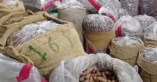 بشاير رمضان.. السكوته وبنديلا والشامية أشهر أنواع التمور بكفر الشيخ.. فيديو
