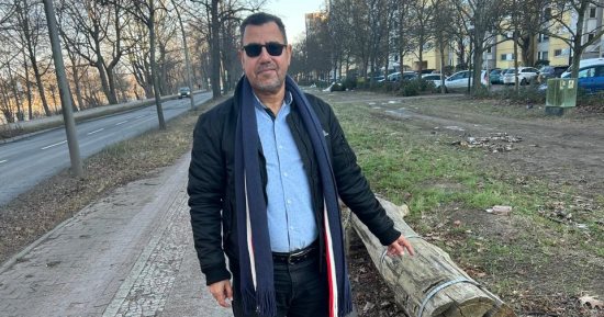 ثروة الأشجار فى أوروبا.. 90 مليار شجرة فى ألمانيا فقط 