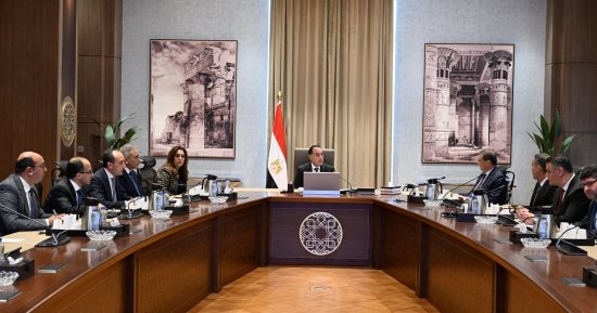 إجراءات حكومية للتعامل مع الحيوانات والكلاب الضالة.. مراكز إيواء بعيدا عن الكتلة السكنية بالمحافظات.. ومدبولي يوجه المحافظين بتوفير الأماكن المطلوبة وزيادة المتعاقد معهم لأداء مهام التعقيم والتحصين