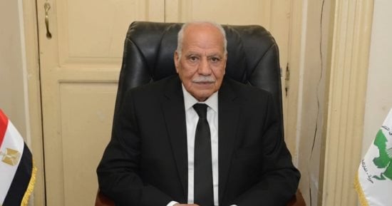 الحزب العربى الناصرى: فض رابعة حسم إرادة الشعب وحمى الدولة من الفوضى