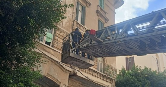القصة الكاملة لإنقاذ «بومة» عالقة فى عقار بالإسكندرية بـ«أوناش هيدروليكية»