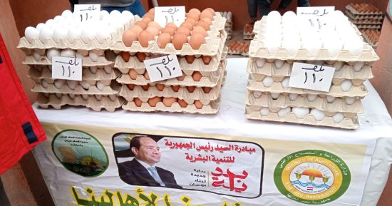 البيضة ب 3.5 جنيه.. أسعار البيض بكفر الشيخ الخميس 22 يناير 2026