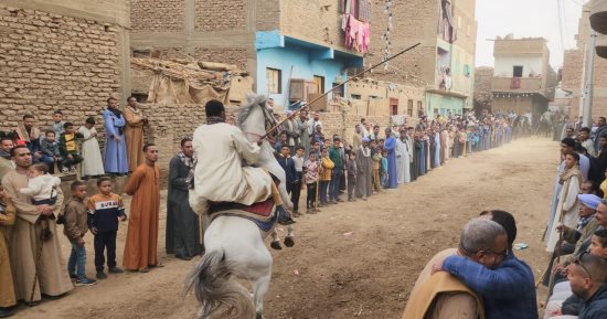 مشهد رائع من قلب الصعيد.. سباقات الخيول العربية فى مولد العشى.. مباشر وصور