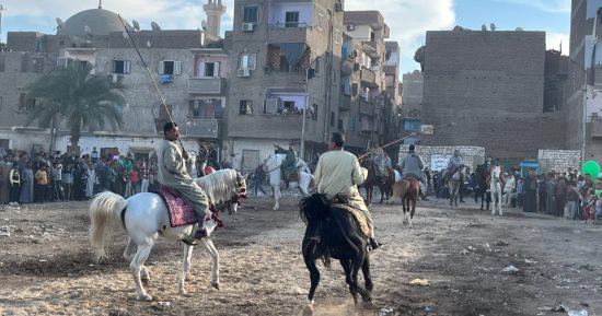 مدد يا رب الأولياء والصالحين.. قنا تتزين لمولد سيدى عبد الرحيم القنائى.. أشهر موالد المدينة يتوافد عليه الآلاف كل عام.. رفع درجة الاستعداد وتكثيف جهود النظافة.. والمرماح والتحطيب وحلقات الذكر أبرز المظاهر