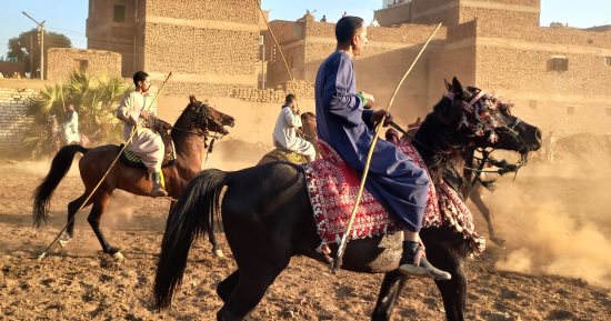 صهيل الخيول وغبار الميدان.. مرماح عبد الرحيم القنائى تراث حى يجمع الفرسان فى أكبر احتفالية