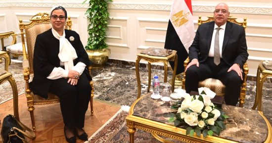 رئيس المجلس القومي للمرأة تقدم التهنئة للمستشار هشام بدوي رئيس مجلس النواب