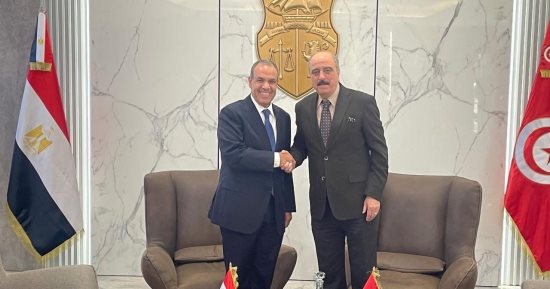 وزير الخارجية: ندعم تسوية سياسية شاملة تحفظ وحدة ليبيا