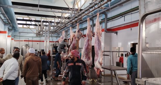 التنمية المحلية تعلن التشغيل التجريبى لمجزر موط بالوادي الجديد بـ21 مليون جنيه