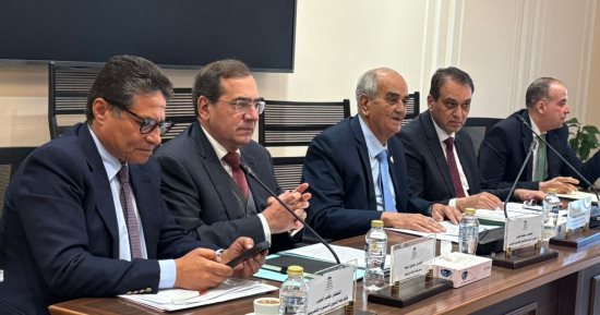 طارق الملا: تضخم سرقة الكهرباء يهدد موارد الدولة وتعديل القانون يشدد الحبس والغرامة