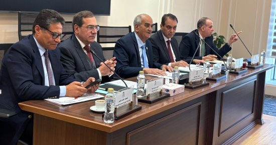 وكيل تشريعية النواب: تشديد العقوبات وحده لا يكفى لمواجهة سرقات التيار الكهربائى