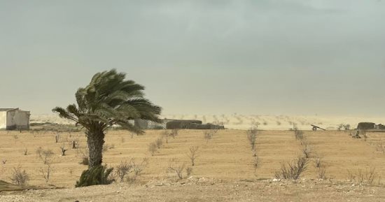 بسبب برودة الطقس.. مركز المناخ يحذر من زراعة الفاصوليا وشتل الخضر.. تفاصيل