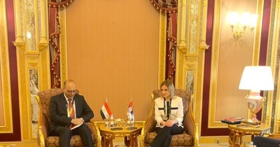 وزير العمل يبحث مع نظيرته الصربية فتح أسواق عمل أمام العمالة المصرية