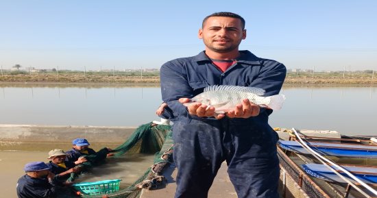 باحث بالمركز الدولي للأسماك يوضح طرق اختيار السمك الطازج