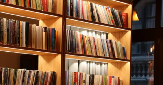 5 أفكار لتنظيم الكتب الجديدة.. من معرض الكتاب إلى الرفوف