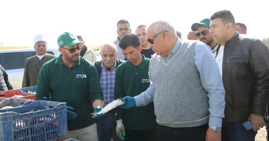 بعد نجاح تنفيذ مشروعات الاستزراع السمكى فى صحراء الوادى الجديد.. توسعات جديدة لإنشاء 12 حوض سمك بـ قرى الخير والنماء بالفرافرة بنظام "الري التكاملي" من فائض محطات مياه الشرب لإنتاج 100 طن أسماك.. صور