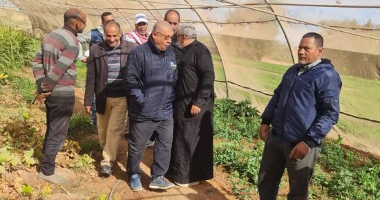 وكيل زراعة الوادى الجديد يتفقد الزراعات الشتوية والصوب المحمية بمركز الداخلة
