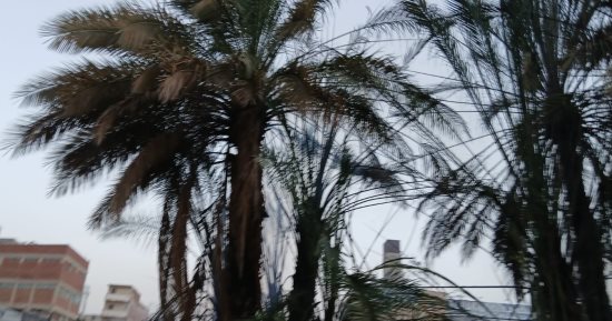السيطرة على حريق بفناء دار للأيتام غرب الإسكندرية دون إصابات