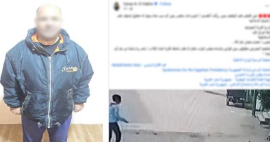 بسبب نباحه المستمر.. سقوط حداد اعتدى على كلب بالضرب في شوارع الإسماعيلية