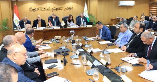 محافظة الجيزة توافق على تخصيص أراضٍ ومبانٍ للنفع العام
