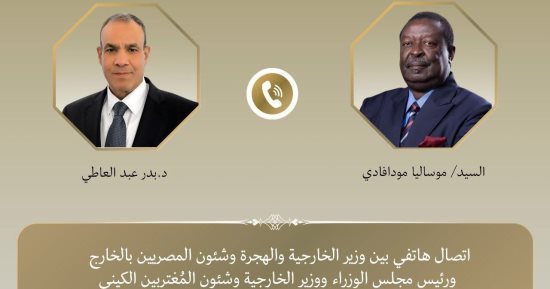 وزير الخارجية يبحث مع نظيره الكينى تعزيز التعاون بين البلدين