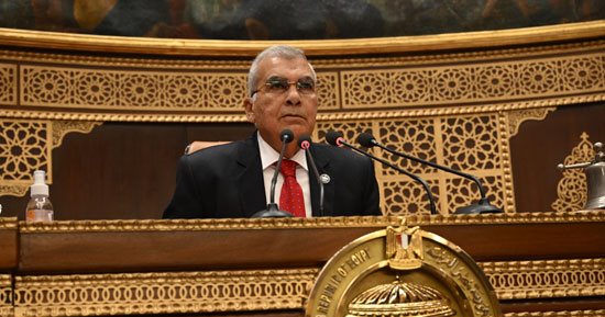 الشيوخ: حماية الأطفال من مخاطر الموبايل ومواقع التواصل لا تحتمل التأجيل