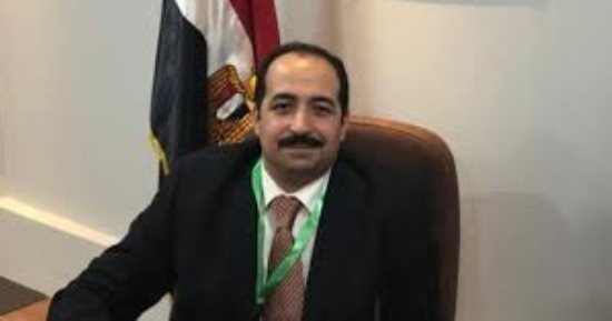 خبير يقترح مواجهة الكلاب الضالة بالعزل والقتل الرحيم للعقور والشرس