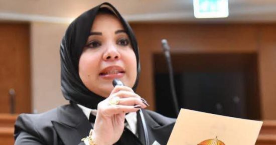 النائبة دينا الهلالى: تعديلات قانون المهن الرياضية مبنية على أسس مهنية