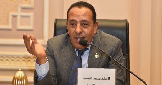 النائب محمد شعيب: مباحثات الرئيس السيسي وشي جين بينج تؤكد عمق الشراكة المصرية الصينية