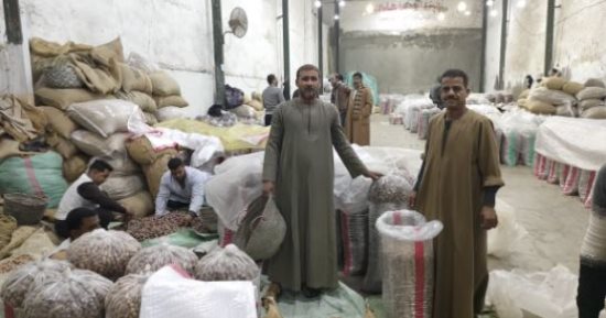 «السكوتي والقندلية والبرتمودا».. البلح أشكال وألوان داخل سوق بيع الجملة فى الغربية.. الأسعار في متناول الجميع ولا تختلف عن العام الماضي.. وتجار: سوق «العتاسة» قلب تجارة التمور في طنطا.. ويؤكدون: موسم خير.. صور