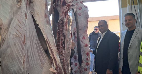 مديرية الطب البيطرى تتسلم مجزر بلطيم بعد تطويره.. صور