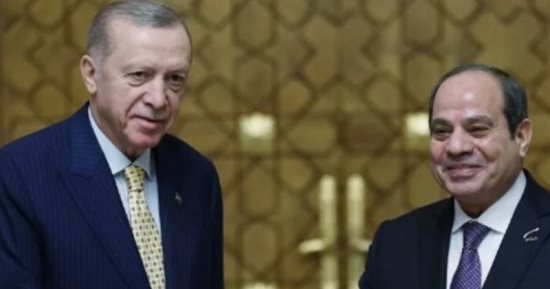خبير دولى: مصر وتركيا تشكلان جبهة موحدة لحماية الأمن القومى العربى