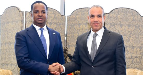 وزير الخارجية يؤكد دعم مصر للجهود الدولية الرامية لتحقيق الأمن والتنمية بالصومال
