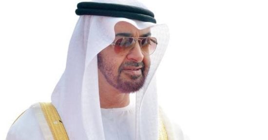 الرئيس الإماراتي يؤكد دعم بلاده لاستقرار منطقة القوقاز وأمنها